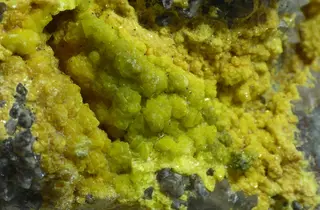 Chernikovite 1.jpg