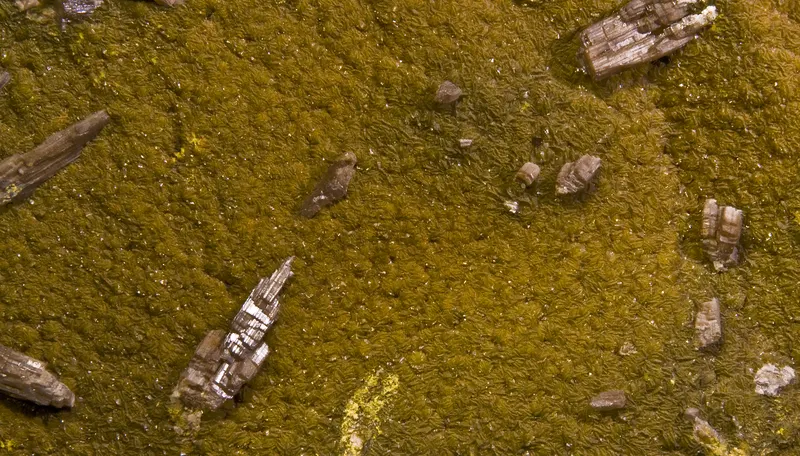 Chervetite Mounana.jpg