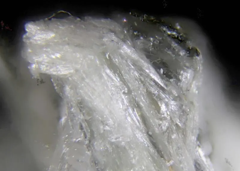 Clinojimthompsonite, Jimthompsonite, Chesterite & Anthophyllite.jpg