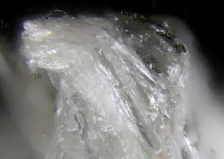 Clinojimthompsonite, Jimthompsonite, Chesterite & Anthophyllite.jpg