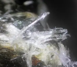 Clinojimthompsonite & Jimthompsonite & Chesterite & Anthophyllite.jpg