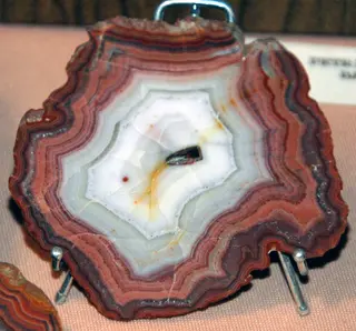 Fairburn Agate (ultimately derived from the Minnelusa Formation, Pennsylvanian-Permian; collected near Fairburn, western South Dakota, USA) 2 (31942188353).jpg