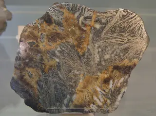 Pyrit als Federpyrit (RK 2206 P1880829).jpg