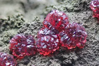 Variscite13302.JPG