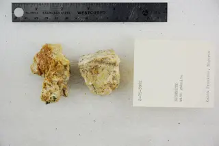 Nigerite with Gahnite (48522683807).jpg