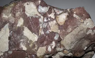 Ferruginous quartz-pebble & lithic conglomerate (derived from boulder in "Sharon Conglomerate", Lower Pennsylvanian; Jackson North roadcut, Ohio, USA) 28.jpg