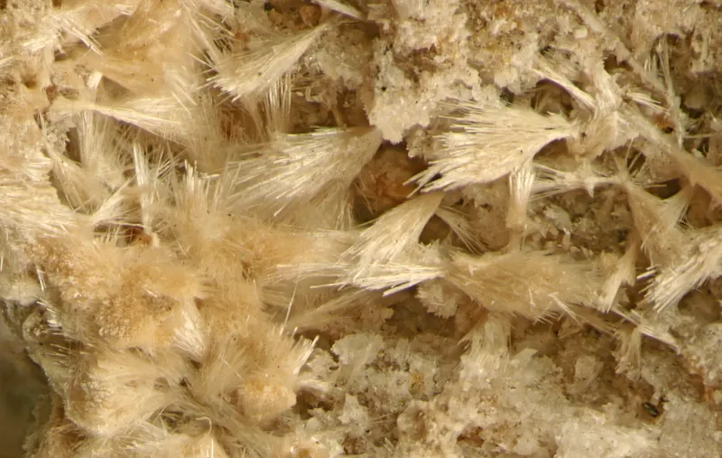 Chlorophoenicite-166436.jpg