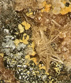 Hetaerolite, Chlorophoenicite, Zincite, Hodgkinsonite-166432.jpg