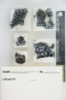 Magnesium-Chlorophoenicite (48417950762).jpg