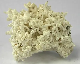 Aragonite-121268.jpg