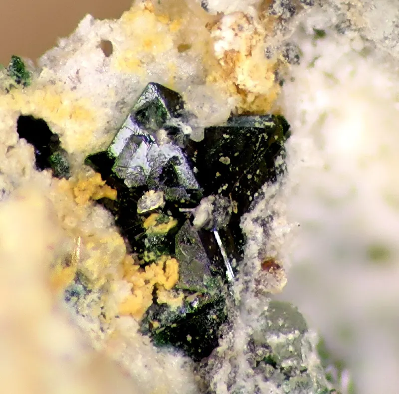 Choloalite-82797.jpg