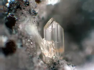Forsterite - Ochtendung, Eifel, Germany.jpg