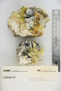 Apatite with Gilbertite, Tourmaline, and Albite (48293871566).jpg