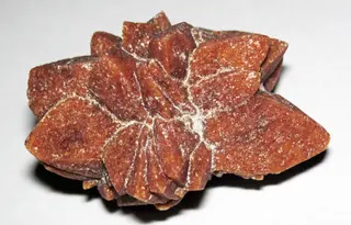 Glendonite (Neogene; Kola Peninsula, Russia) 2.jpg