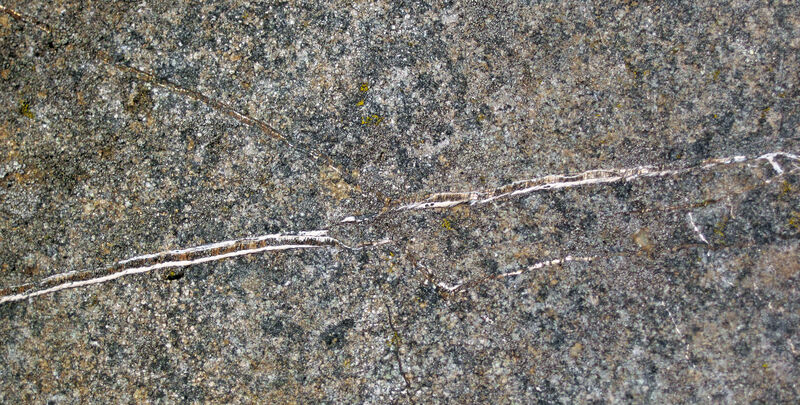 Chrysotile asbestos