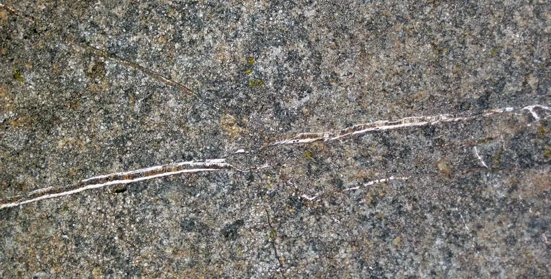 Chrysotile asbestos veins in serpentinized komatiite (Upper Komatiitic Unit, Kidd-Munro Assemblage, Neoarchean, 2.711-2.717 Ga; southwest of the Potter Mine, east of Timmins, Ontario, Canada) 1 (46971714425).jpg