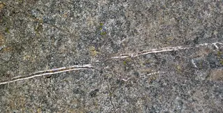 Chrysotile asbestos veins in serpentinized komatiite (Upper Komatiitic Unit, Kidd-Munro Assemblage, Neoarchean, 2.711-2.717 Ga; southwest of the Potter Mine, east of Timmins, Ontario, Canada) 1 (46971714425).jpg