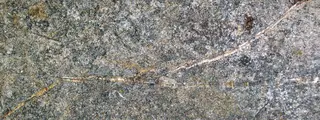 Chrysotile asbestos veins in serpentinized komatiite (Upper Komatiitic Unit, Kidd-Munro Assemblage, Neoarchean, 2.711-2.717 Ga; southwest of the Potter Mine, east of Timmins, Ontario, Canada) 2 (47098470834).jpg