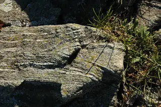Chrysotile asbestos vein sinuosity 21.jpg