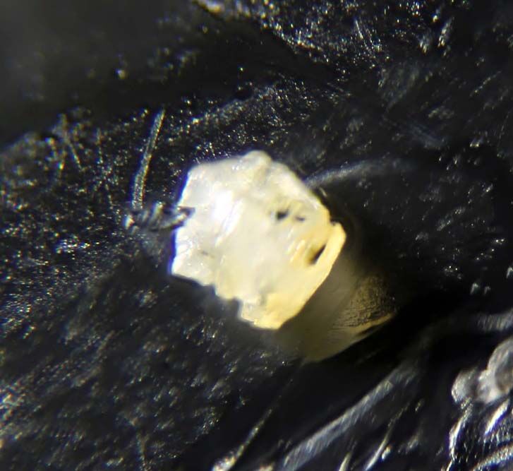 Chukhrovite-(Ca)