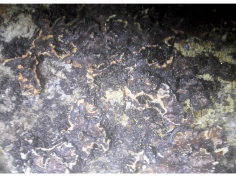 Clino-ferro-suenoite