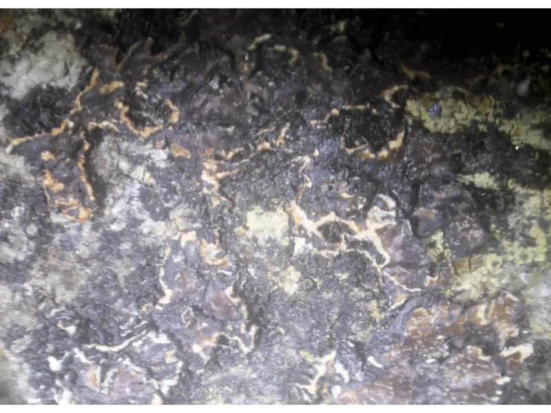 Clino-ferro-suenoite.jpg