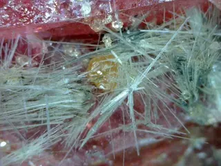 Clino-suenoite, Rhodonite, Spessartine-653671.jpg