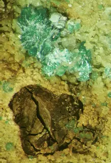 Yakhontovite-clinoatacamite-486972.jpg