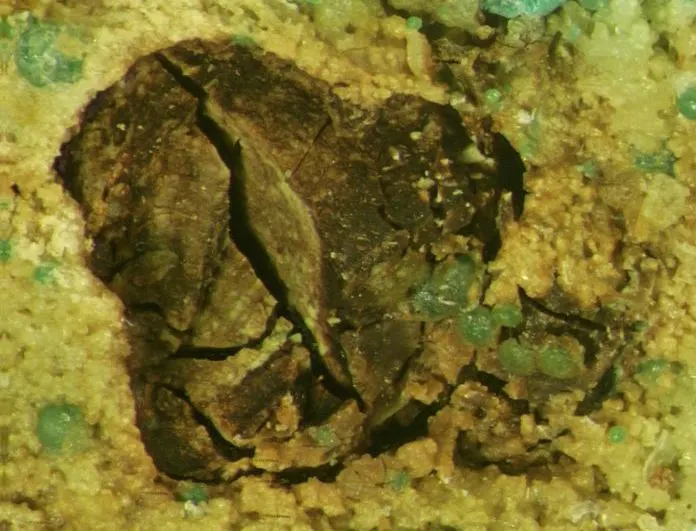 Yakhontovite-486972.jpg