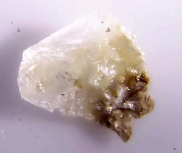 Clinobehoite.jpg