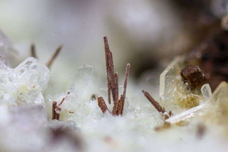 Clinoferrosilite