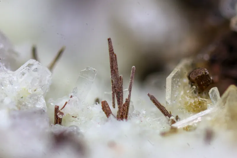 Clinoferrosilite Antioco 4M-9.jpg