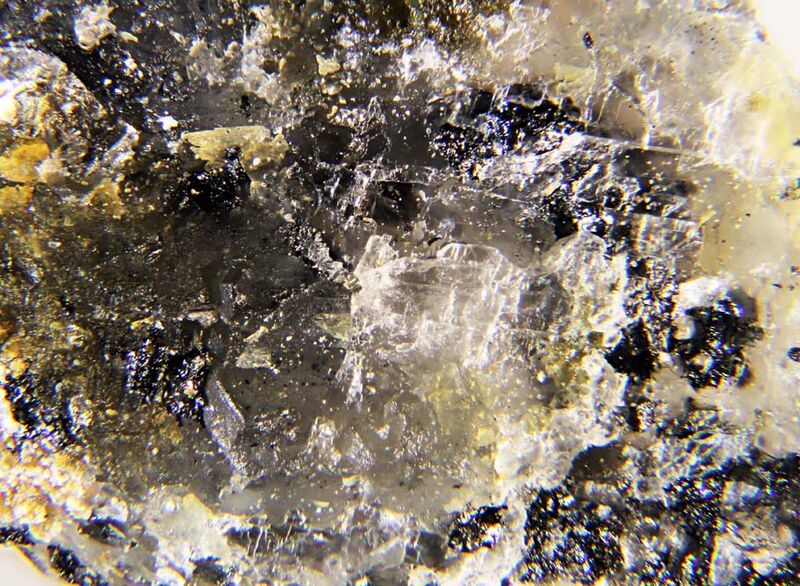 Clinokurchatovite