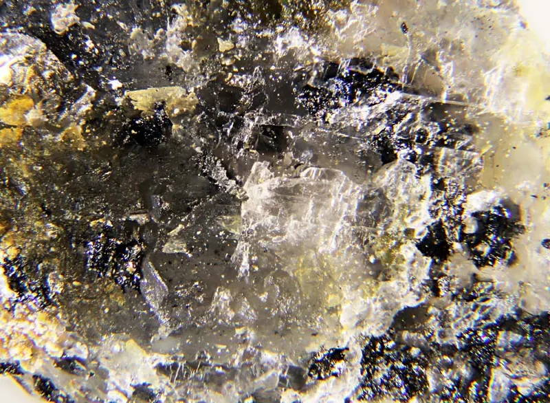 Clinokurchatovite.jpg