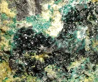 Herbertsmithite-119365.jpg