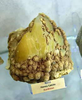 Honey calcite from Kurdistan, Iraq. Erbil Stones and Gems Museum, Erbil Citadel, Hawler, Iraq.jpg