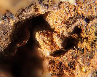Cobaltarthurite.jpg
