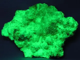 Opal-118685.jpg