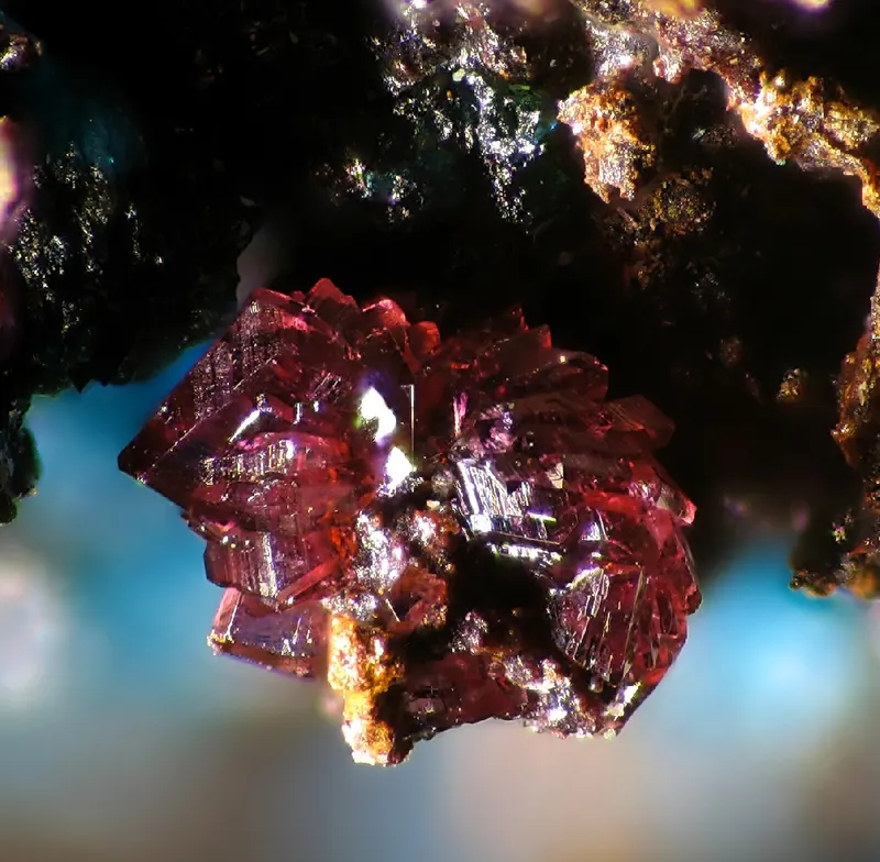 Cobaltomenite-107147.jpg