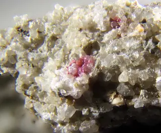 Nestolaite & Cobaltomenite.jpg