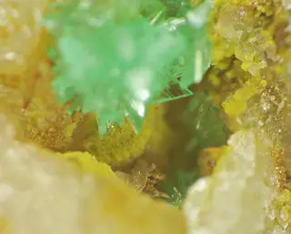 Nickeltsumcorite & Annabergite.jpg