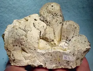 Apatite-(CaOH)-120457.jpg