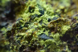Uranopilite makro 03.jpg
