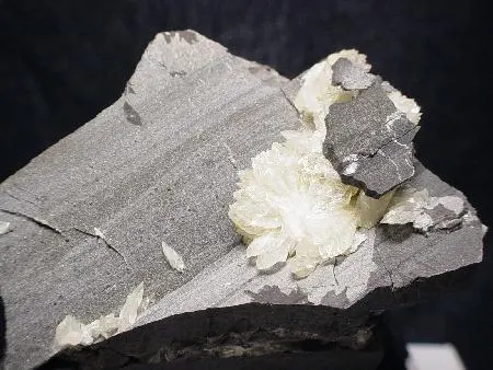 Collinsite-20267.jpg