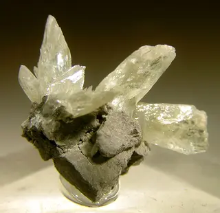 Collinsite-40528.jpg