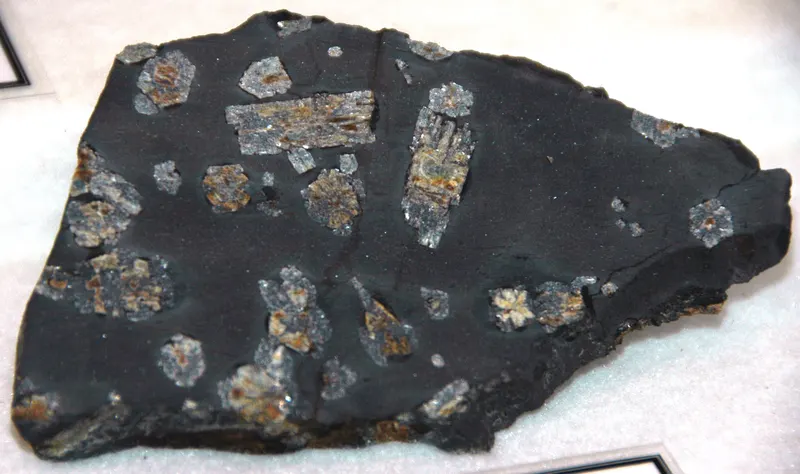 Hornfels from Mikata on Honshu in Japan.jpg