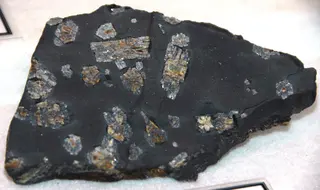 Hornfels from Mikata on Honshu in Japan.jpg
