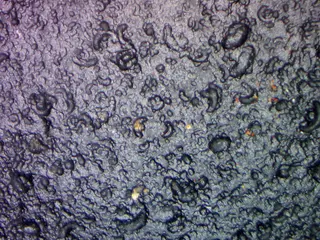 Philippinite Tektite Texture.jpg
