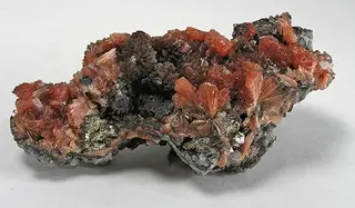 Inesite-112883.jpg