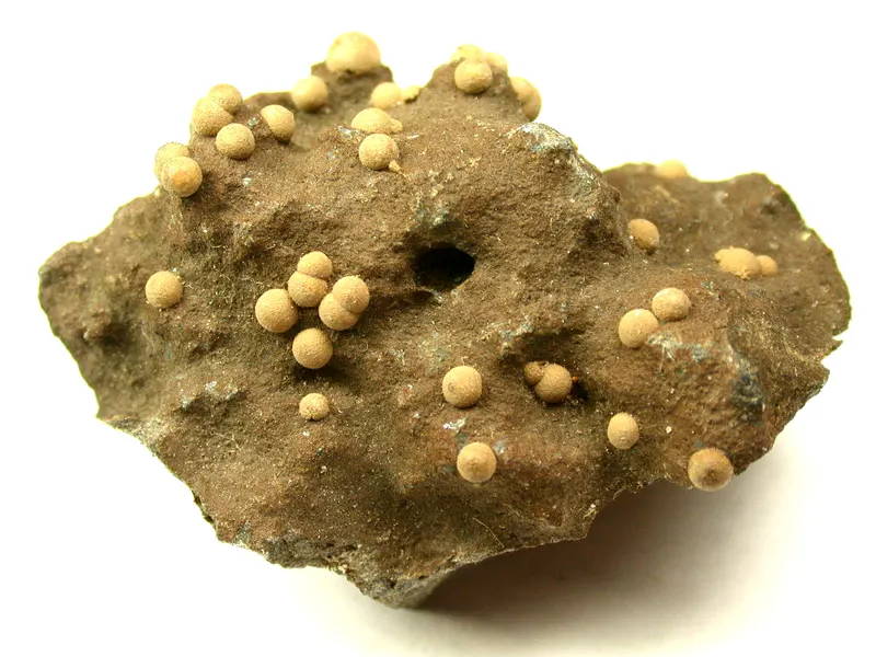 Calcite (Var. Ferroan Calcite)-595040.jpg